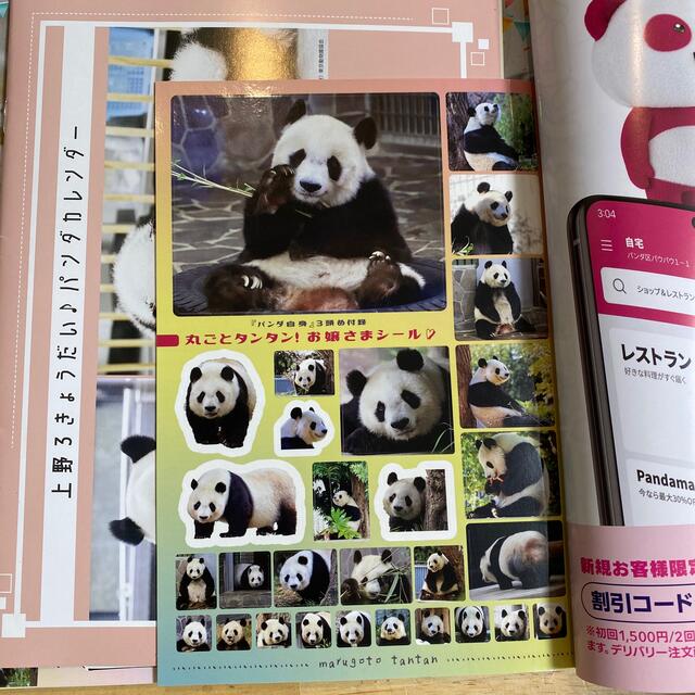 パンダ自身 3頭め　シャオシャオ　レイレイ エンタメ/ホビーの本(地図/旅行ガイド)の商品写真