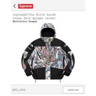 シュプリーム(Supreme)のSupreme × TNF  Steep Tech Apogee jacket(ナイロンジャケット)