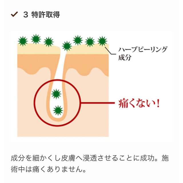 Aesop(イソップ)のアマロスOHLハーブピーリング　セルフエステ3回分　★説明書付き コスメ/美容のスキンケア/基礎化粧品(ゴマージュ/ピーリング)の商品写真