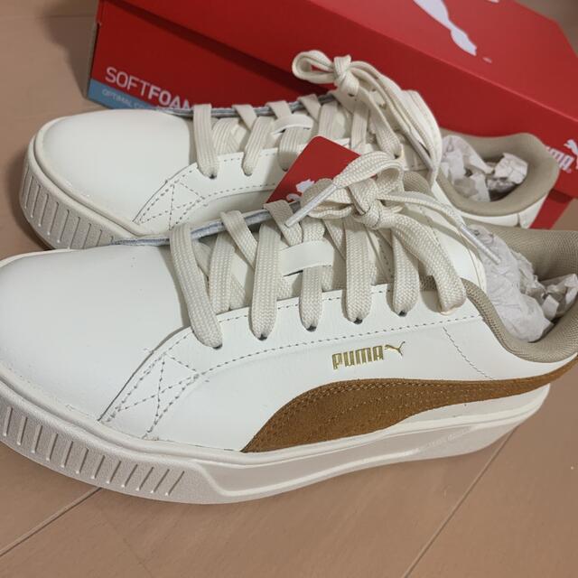 国内外の人気靴PUMA×ABC-MART ATSUZOKO 24.5㎝ SnowMan目黒蓮 www.jkdiagnostics.com