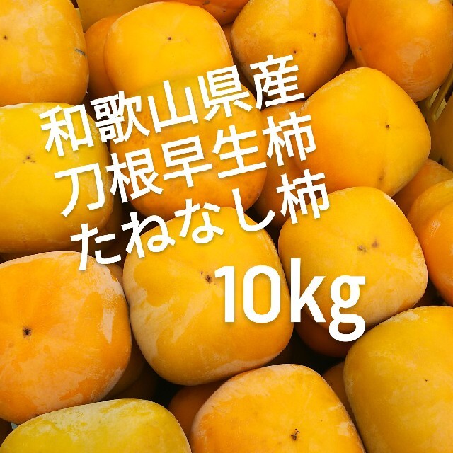 和歌山県産　美味しい　たねなし柿　10kg 硬め　7