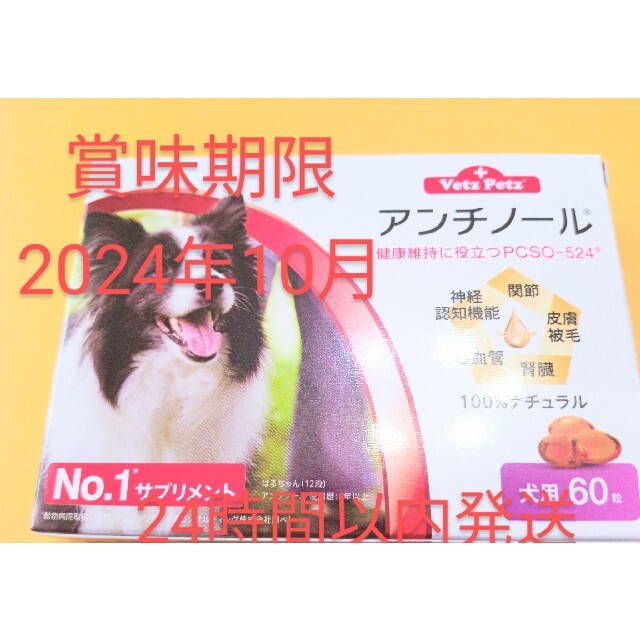 アンチノール　60入りアンチノール犬用