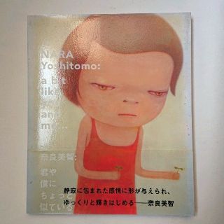 奈良美智：君や僕にちょっと似ている　図録(アート/エンタメ)