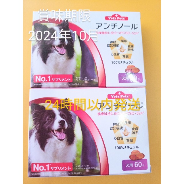 アンチノール　２箱犬用サプリメント