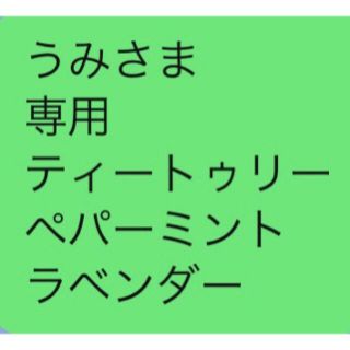 うみさま 専用 ティートゥリー ペパーミント ラベンダー(その他)