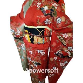 来年の成人式に♪古風可愛い正絹古典柄振袖5点セット セット F033の