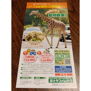 富士サファリパーク入園料金1名無料券(遊園地/テーマパーク)