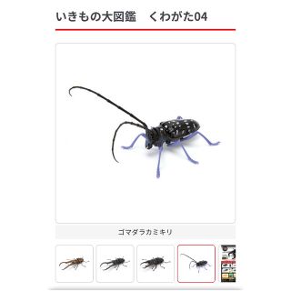 バンダイ(BANDAI)のいきもの大図鑑 くわがた 04 ゴマダラカミキリ(その他)