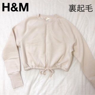 エイチアンドエイチ(H&H)の【美品】H&M エイチアンドエム 裏起毛ショート丈トップス XS(トレーナー/スウェット)