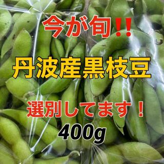 【丹波産】コクのある黒枝豆をネコポスでお届けします(野菜)