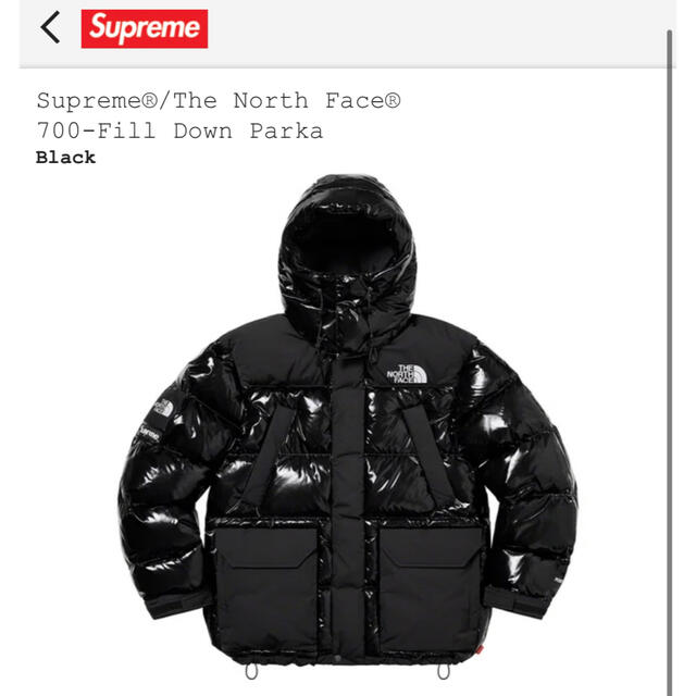 Supreme The North Face700Fill Down Parka