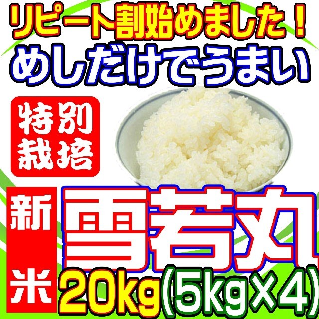 2022年秋冬新作 新米! 雪若丸20kg めしだけでうまい。2022年産 山形県産 特栽&大粒 米+穀物 - www.shred360.com 2022年秋冬新作 新米! 雪若丸20kg めしだけでうまい。2022年産 山形県産 特栽&大粒 米+穀物 - www.shred360.com