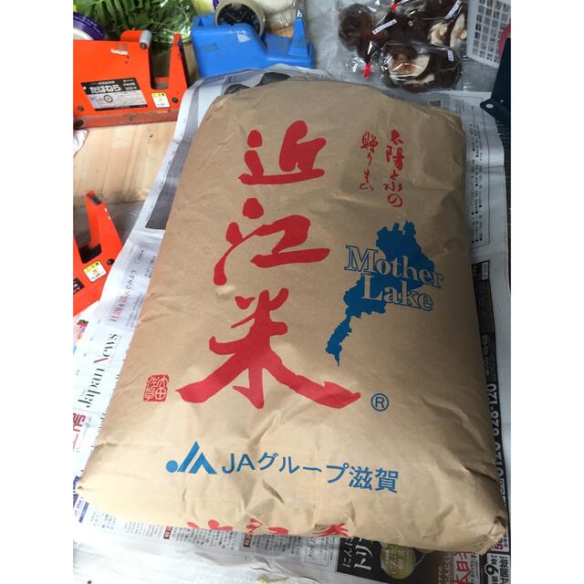 令和4年産　コシヒカリ　i358様専用　玄米30kg 近江米