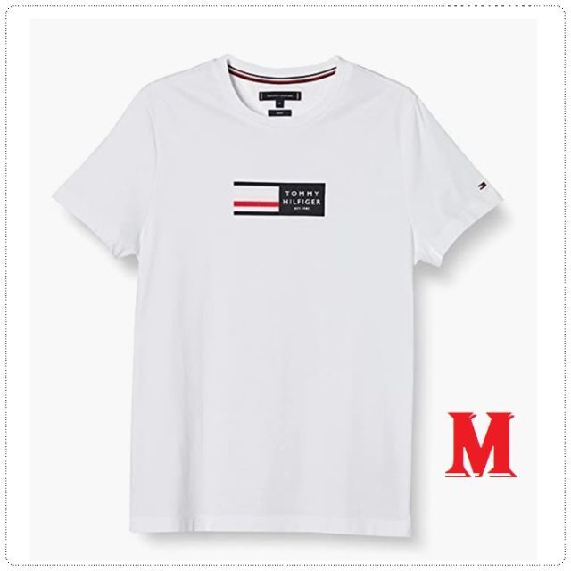 ストライプフラッグのグラフィックロゴTシャツ　ホワイト　Mサイズ