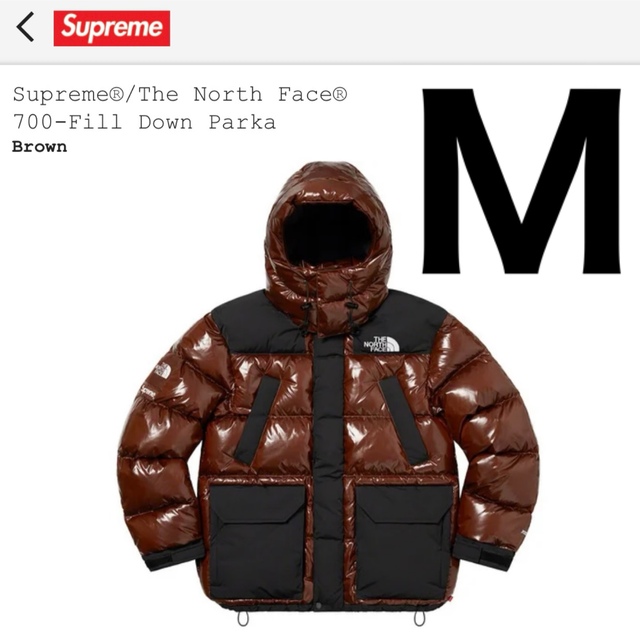 Supreme The North Face Down Parka