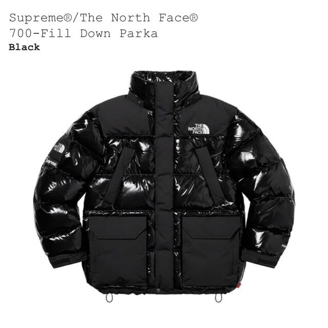 SUPREME NORTH FACE L 700フィルダウンパーカ