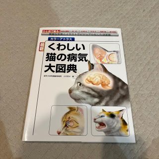 最新くわしい猫の病気大図典 豊富な写真とイラストでビジュアル化した決定版(科学/技術)