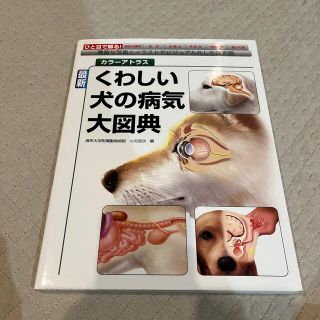 最新くわしい犬の病気大図典 カラ－アトラス(科学/技術)