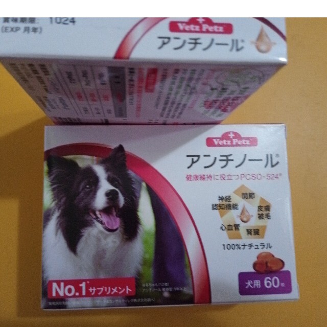 アンチノール 2箱犬用サプリメント | gellonautos.cl