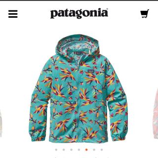 パタゴニア(patagonia)の使用数回♡パタゴニア ナイロンジャケット レディース(ジャケット/上着)