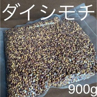 ダイシモチ玄麦　900g(米/穀物)