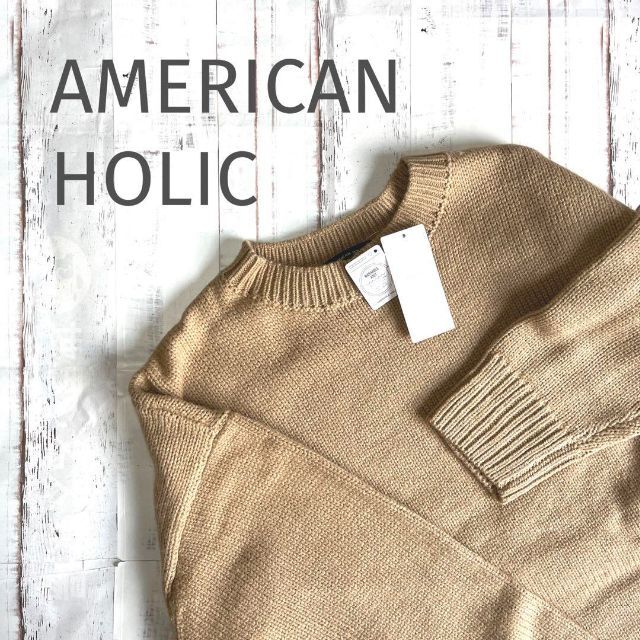 AMERICAN HOLIC(アメリカンホリック)の【タグ付き♡】アメリカンホリック　クルーネックざっくりニットプルオーバー レディースのトップス(ニット/セーター)の商品写真