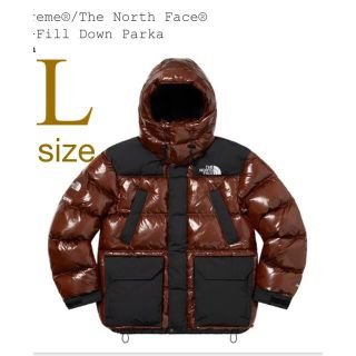 シュプリーム(Supreme)のSupreme The North Face 700-Fill Down L (ダウンジャケット)