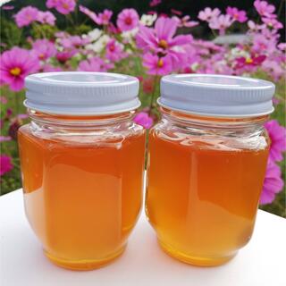 日本蜜蜂2年物はちみつ(150g x2)　非加熱　無添加　国産はちみつ(調味料)