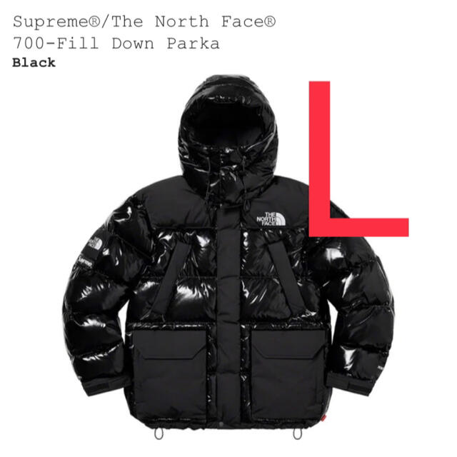 Supreme / TNF 700-Fill Down Parka