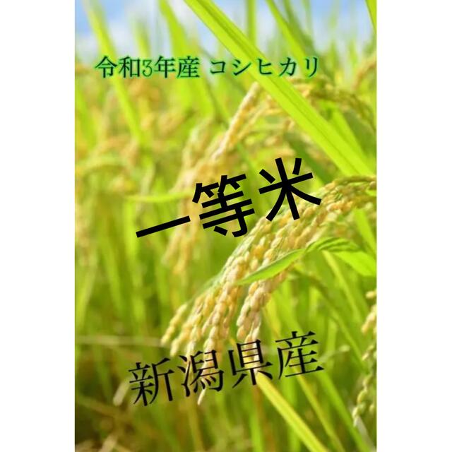 たぬきさんちのお米 令和3年産 新潟県産コシヒカリBL10kg 食品/飲料/酒の食品(米/穀物)の商品写真