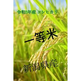 たぬきさんちのお米 令和3年産 新潟県産コシヒカリBL10kg(米/穀物)