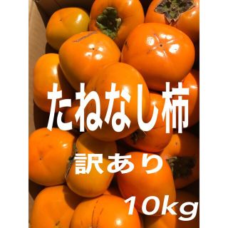 たねなし柿　10kg 訳あり(フルーツ)