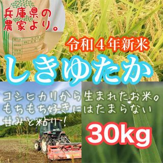 リピ買い 農家のレア品種米 令和4年新米 兵庫県産シキユタカ 30kg(米/穀物)