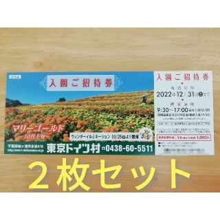 東京ドイツ村 入園ご招待券 2枚セット(遊園地/テーマパーク)