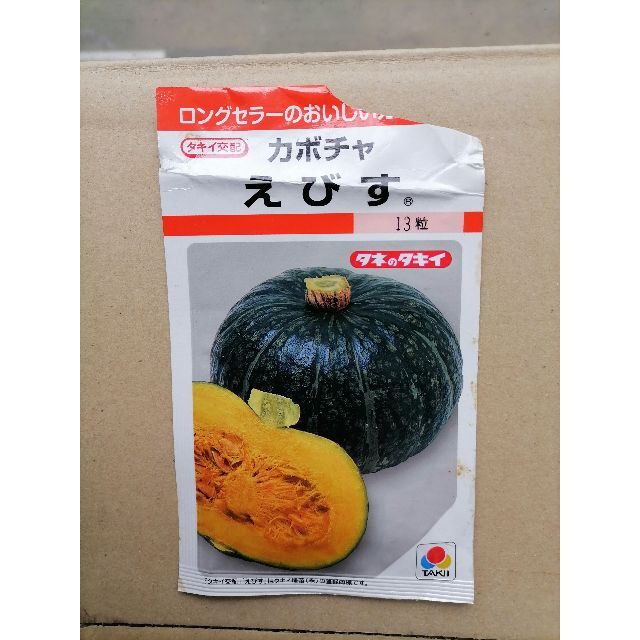 無農薬かぼちゃ　約4.5kg 食品/飲料/酒の食品(野菜)の商品写真