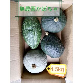 無農薬かぼちゃ　約4.5kg(野菜)