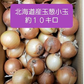 ◆北海道産　玉ねぎ　訳あり品　２S(SS)サイズ小玉　約１０キロ(野菜)