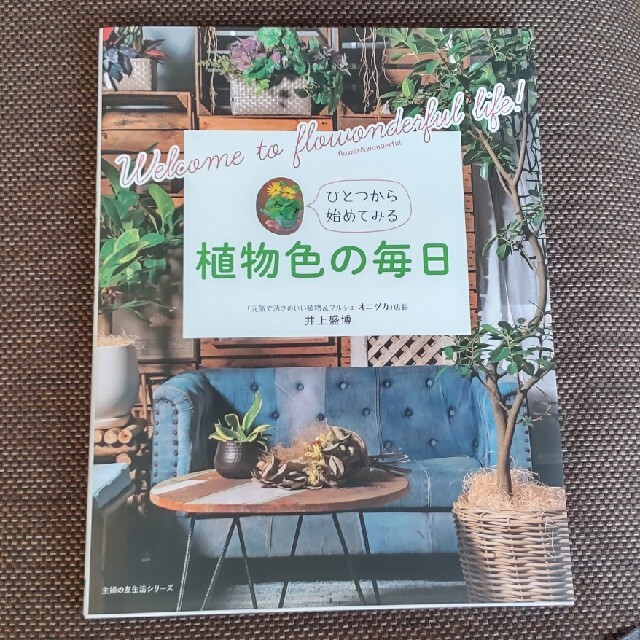 植物色の毎日 エンタメ/ホビーの本(趣味/スポーツ/実用)の商品写真