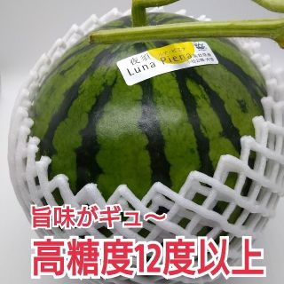 高知県産★高糖度❢ルナピエナ冬スイカ★とにかく甘くてサクサク❢中玉1玉(フルーツ)