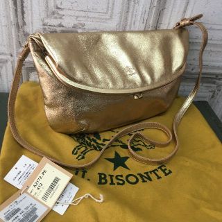 イルビゾンテ(IL BISONTE)のイタリア製　IL BISONTE　イルビゾンテ　バッグ　USED(ショルダーバッグ)