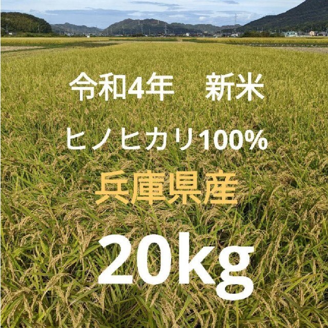 新米20kg　ヒノヒカリ100%　令和4年　兵庫県産