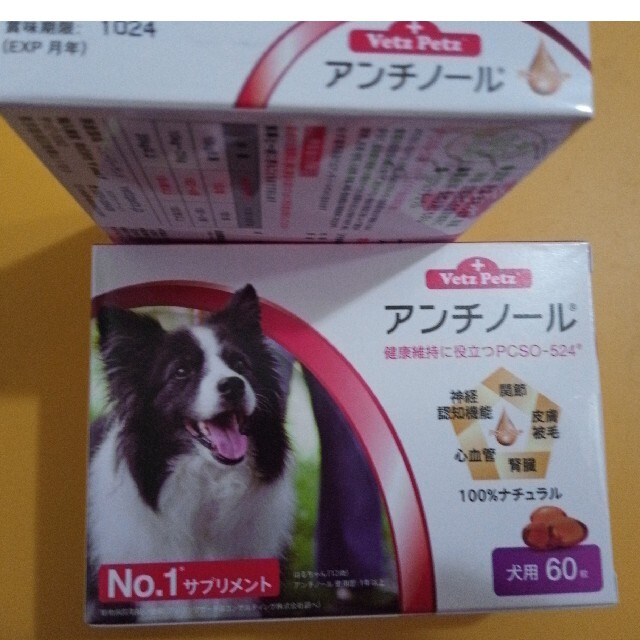 アンチノール　60入りアンチノール犬用 1