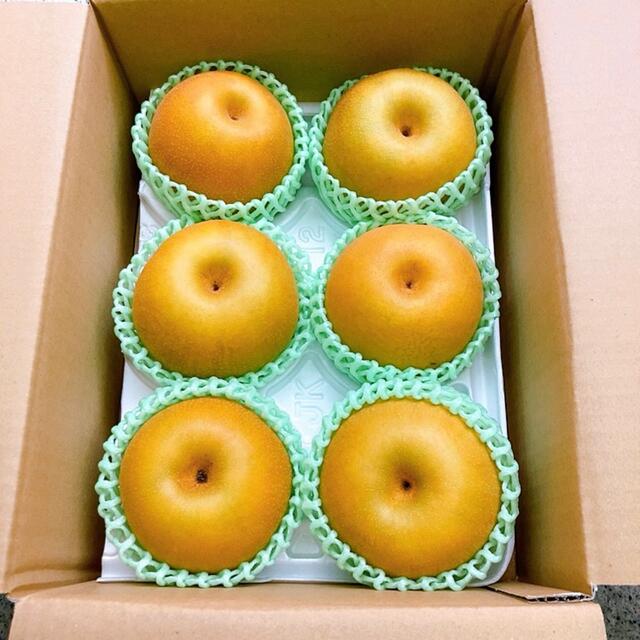 lovelani.com - 豊水梨 特大玉サイズ6個入り 約3kg なし 和梨 ナシ 梨