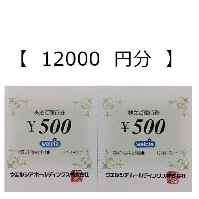 ウエルシア 株主優待 12000円分優待券/割引券