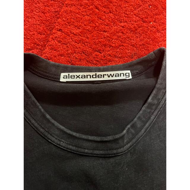 Alexander Wang(アレキサンダーワン)のAlexander Wang/アレキサンダーワン　アシッドロゴロンT メンズのトップス(パーカー)の商品写真