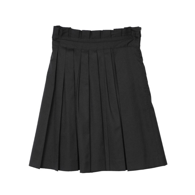 Ameri Vintage PLEATS UNDER SHEER SKIRT 3