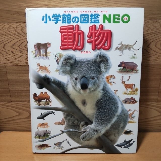 小学館(ショウガクカン)の〈mi 様専用〉　　【小学館の図鑑 NEO　動物】小学館　図鑑　三浦慎悟 エンタメ/ホビーの本(絵本/児童書)の商品写真