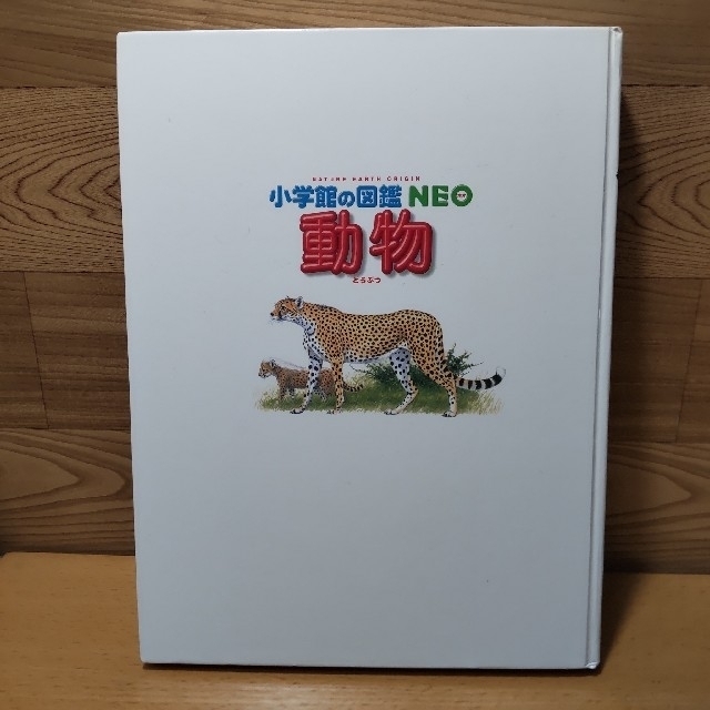 小学館(ショウガクカン)の〈mi 様専用〉　　【小学館の図鑑 NEO　動物】小学館　図鑑　三浦慎悟 エンタメ/ホビーの本(絵本/児童書)の商品写真