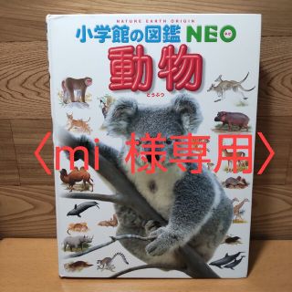 ショウガクカン(小学館)の〈mi 様専用〉　　【小学館の図鑑 NEO　動物】小学館　図鑑　三浦慎悟(絵本/児童書)