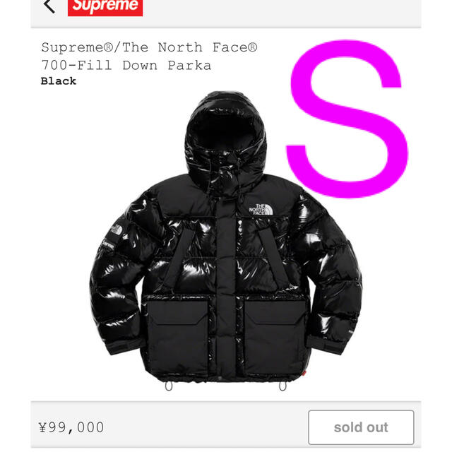 Supreme / The North Face 700-Fill Down